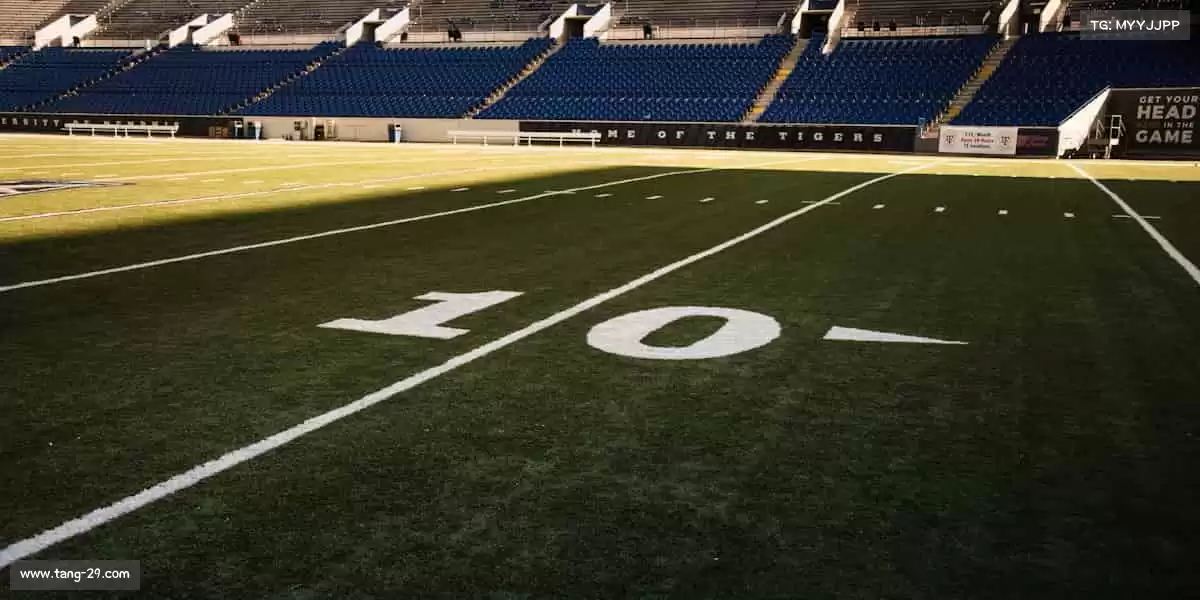 行业领先的理由